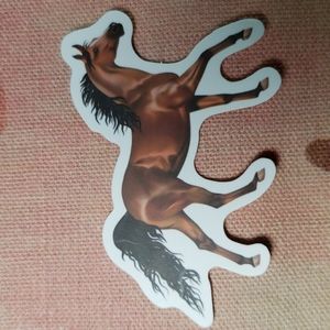 (A) Horse Sticker Pony Sticker Horse Ranch Horse Farm Country Cowgirl Horse Girl